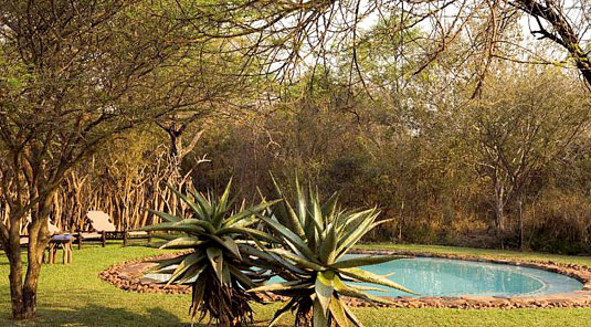 Jaci's Safari Lodge - Madikwe Game Reserve - Swimming Pool