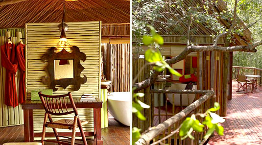 Jaci's Tree Lodge - Madikwe Game Reserve - Luxurious Suite Bathroom & Walkway