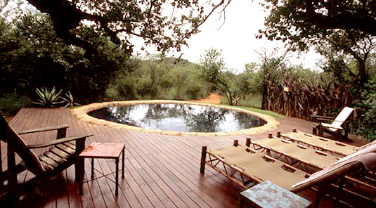 Jaci's Tree Lodge - Madikwe Game Reserve - Main Lodge Swimmimg Pool