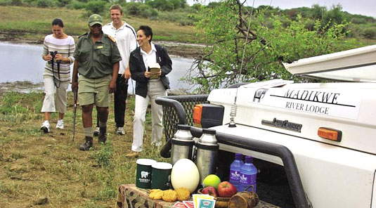 Madikwe River Lodge - Game Drives