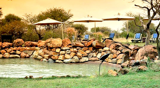 Madikwe River Lodge - Swimming Pool