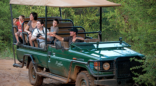 Family Game Drives - Madikwe Safari Lodge - Madikwe Game Reserve