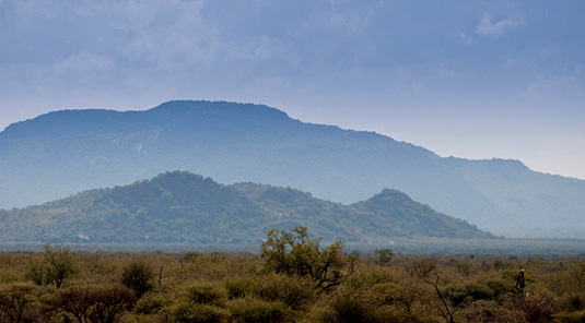 Reserve View - Madikwe Safari Lodge - Madikwe Game Reserve