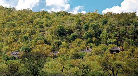 View of Luxury Suites - Madikwe Safari Lodge - Madikwe Game Reserve