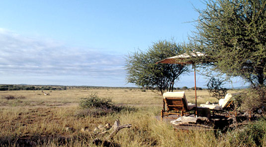 Makanyane Safari Lodge - Madikwe Game Reserve - Lounger