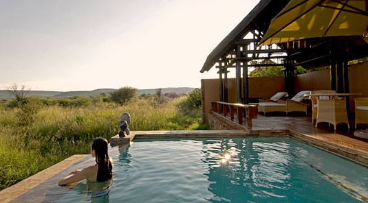 Mateya Safari Lodge - Madikwe Game Reserve - Lodge Swimming Pool