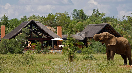 Mateya Safari Lodge - Madikwe Game Reserve - Lodge View with Elephant