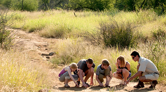 Childrens Activities, Bush Walks with the Ranger - Morukuru Lodge - Madikwe Game Reserve