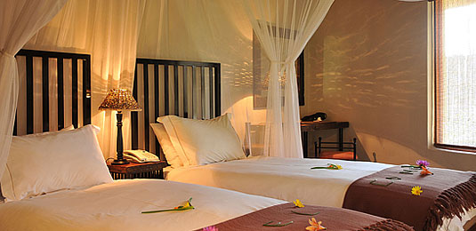 Twin Thatched Chalets - Tau Game Lodge - Madikwe Game Reserve