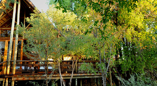 Thakadu River Camp - Main Lodge Deck - Madikwe Game Reserve