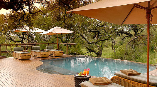 Swimming Pool - Tuningi Safari Lodge - Madikwe Game Reserve