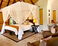 Impodimo Game Lodge - Madikwe Game Reserve Lodge Accommodation