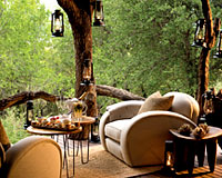 Madikwe Safari Lodge - Madikwe Game Reserve Lodge Accommodation